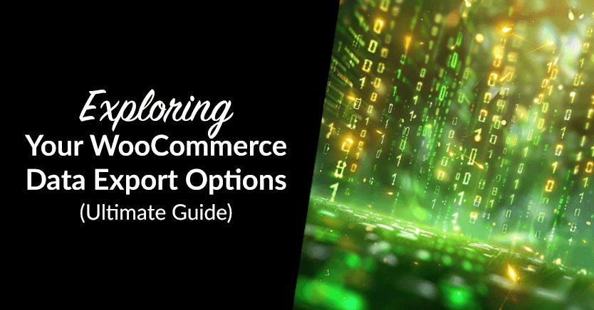 Exploring Your WooCommerce Data Export Options / Data Extraction Methods (Ultimate Guide)