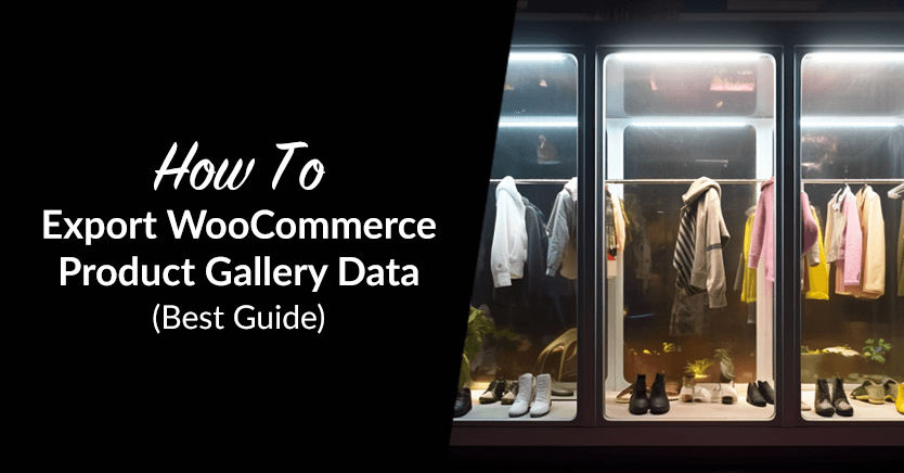 How To Export WooCommerce Product Gallery Data (Best Guide)